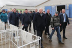 Аляксандр Лукашэнка ў час наведвання малочнатаварнага комплексу "Сліжы" ў Шклоўскім раёне
