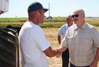 Александр Лукашенко во время посещения ОАО "Александрийское"