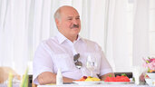 Александр Лукашенко на встрече с Владимиром Путиным в Сочи  