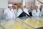 Президент Беларуси Александр Лукашенко посетил СОАО "Коммунарка"