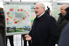 Александр Лукашенко во время церемонии открытия движения на МКАД-2