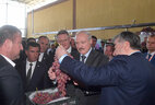 Александр Лукашенко и Эмомали Рахмон во время посещения хранилища винограда