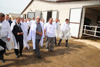 Александр Лукашенко во время посещения реконструированной молочно-товарной фермы "Квасевичи" в Ивацевичском районе