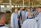 Александр Лукашенко во время посещения молочно-товарного комплекса ООО "Шапчицы-агро"