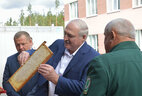 Александр Лукашенко во время посещения Стародорожского опытного лесхоза