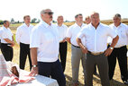 Александр Лукашенко во время посещения Оршанского района