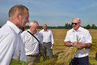 During the visit to the enterprise Ustye in Orsha District