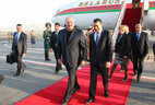 Президент Беларуси Александр Лукашенко и премьер-министр Таджикистана Кохир Расулзода