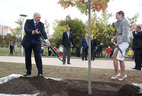 Alexander Lukashenko and Darya Domracheva plant a tree at the Olympic Alley