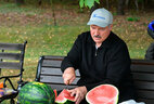 Александр Лукашенко нарезает арбуз