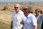 Аляксандр Лукашэнка на палях сялянскай фермерскай гаспадаркі "Цнянскія экапрадукты"