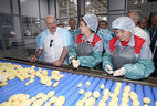 Александр Лукашенко во время посещения фермерского хозяйства