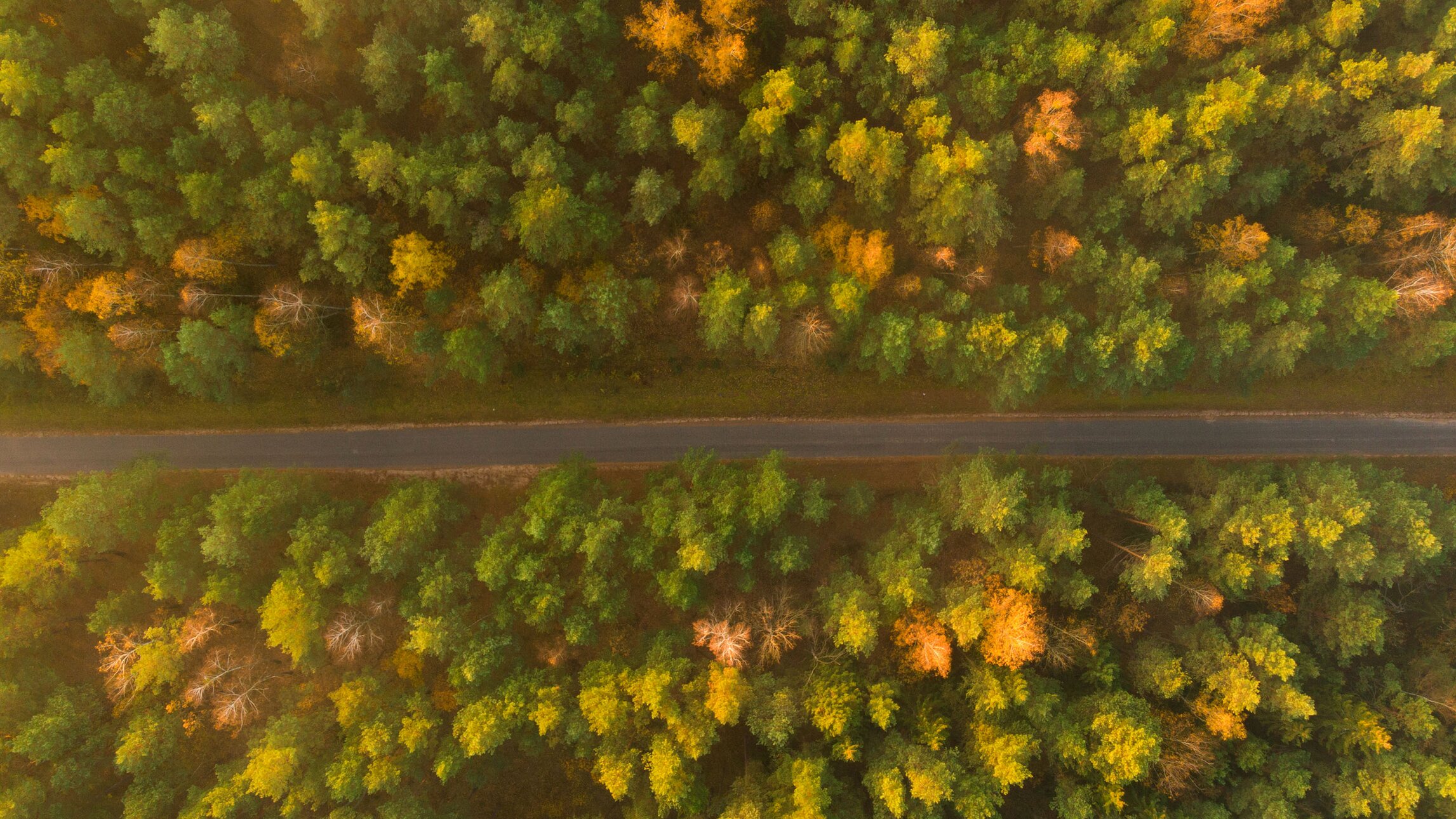 Belarus in Figures Belarus in Figures