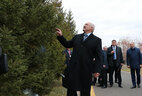 Аляксандр Лукашэнка аглядае дрэва, пасаджанае ім у час аднаго з мінулых візітаў у Казахстан
