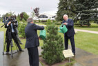 Президент Беларуси Александр Лукашенко и Президент Узбекистана Шавкат Мирзиёев во время посадки дерева на Аллее почетных гостей у Дворца Независимости