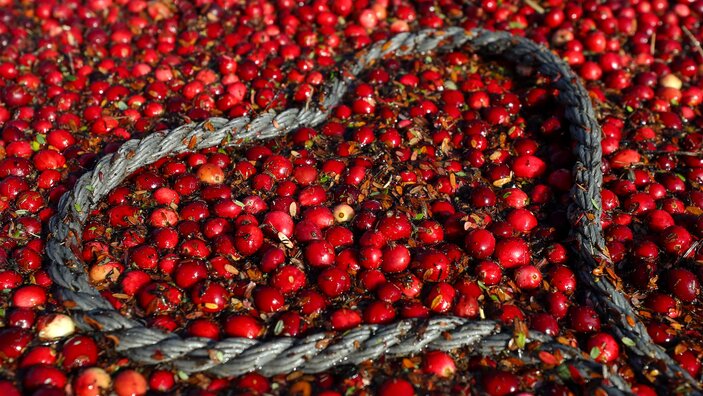 Belarus in Figures Belarus in Figures