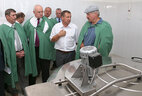 Александр Лукашенко во время посещения молочно-товарного комплекса ОАО "Гастелловское"
