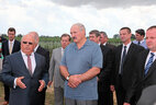 Александр Лукашенко во время посещения СПК "Прогресс-Вертелишки"