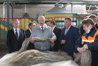 Александр Лукашенко во время посещения Ореховского льнозавода