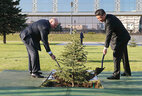 President of the People’s Republic of China Xi Jinping plants a tree in the Alley of Distinguished Guests near the Palace of Independence in Minsk. Belarusian President Alexander Lukashenko takes part in the ceremony