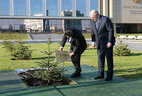 President of the People’s Republic of China Xi Jinping plants a tree in the Alley of Distinguished Guests near the Palace of Independence in Minsk. Belarusian President Alexander Lukashenko takes part in the ceremony