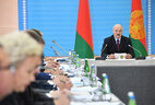 Александр Лукашенко во время совещания о ходе выполнения поручений по комплексному развитию Оршанского района