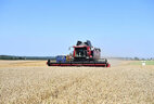 Alexander Lukashenko tested the Belarusian grain harvester Palesse GS2124 in the fields of OAO Aleksandriyskoye