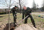 Aleksandr Lukashenko and his son Nikolai plant trees on the nationwide clean-up day