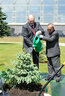 India President Pranab Mukherjee plants a tree in the Alley of Distinguished Guests near the Palace of Independence. The ceremony was attended by Belarus President Alexander Lukashenko