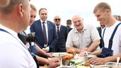 Александр Лукашенко, уборочная кампания, комбайнеры, урочище Подбагоники, Гродненская область