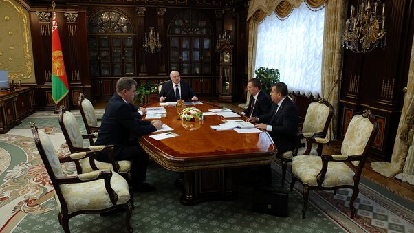 Доклад об эффективности работы АПК Лукашенко Дожинки