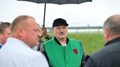 Александр Лукашенко на поле фермерского хозяйства "СТАРТ ТС" в Оршанском районе