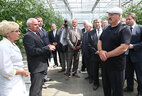 Александр Лукашенко во время посещения КУП "Минская овощная фабрика"