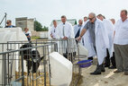 Alexander Lukashenko visits the dairy farm Kvasevichi in Ivatsevichi District, Brest Oblast