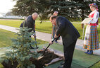 Pakistan Prime Minister Nawaz Sharif plants a tree on the Alley of Distinguished Guests near the Palace of Independence. Alexander Lukashenko is also taking part in the ceremony
