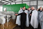 During the visit to the Vyazanka dairy farm affiliated with Dzerzhinsky agricultural company