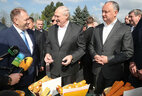 Belarus President Alexander Lukashenko and Moldova President Igor Dodon visit the Porumbeni Horticulture Institute