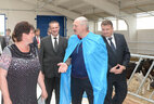 Alexander Lukashenko visits Zvezda farm in Chechersk District