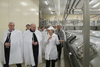 Alexander Lukashenko visits Turov Dairy Company in Zhitkovichi District