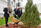 Президент Беларуси Александр Лукашенко во время церемонии посадки дерева на территории посольства