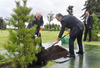 Belarus President Aleksandr Lukashenko and Uzbekistan President Shavkat Mirziyoyev plant a tree on the Alley of Distinguished Guests near the Palace of Independence