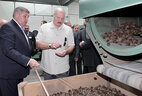 Alexander Lukashenko visits the national forestry breeding and seed production center