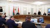 Александр Лукашенко, Василий Герасимов, селекторное совещание, уборочная кампания, сельское хозяйство 