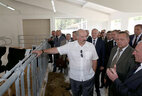 Alexander Lukashenko during the tour of the enterprise