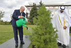 Belarus President Aleksandr Lukashenko and Crown Prince of Abu Dhabi Sheikh Mohammed bin Zayed Al Nahyan plant a tree on the Alley of Distinguished Guests near the Palace of Independence