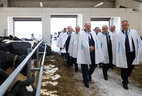 Александр Лукашенко посетил молочно-товарный комплекс ООО "Шапчицы-агро"