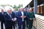 Александр Лукашенко во время посещения Стародорожского опытного лесхоза
