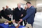 Александр Лукашенко во время посещения ОАО "Кореличи-Лен"