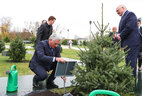 Президент Беларуси Александр Лукашенко и Президент Кубы Мигель Марио Диас-Канель Бермудес во время посадки дерева на Аллее почетных гостей у Дворца Независимости