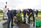 Президент Беларуси Александр Лукашенко и Президент Кубы Мигель Марио Диас-Канель Бермудес во время посадки дерева на Аллее почетных гостей у Дворца Независимости